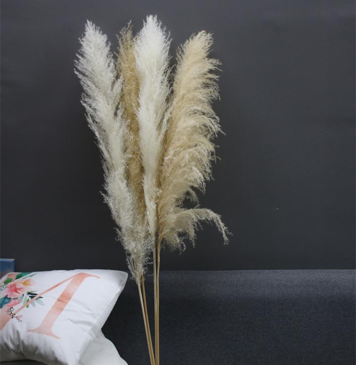 

Decorative Flowers & Wreaths 80cm Pampas Grass Extra Large Natural White Dried Bouquet Fluffy For Boho Vintage Style Home Wedding Decor, Beige