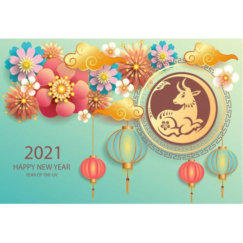 

Party Decoration Happy Year 2021 Backdrop Flower Lantern Chinese Style Pography Background Family Decor Po Booth Studio Prop