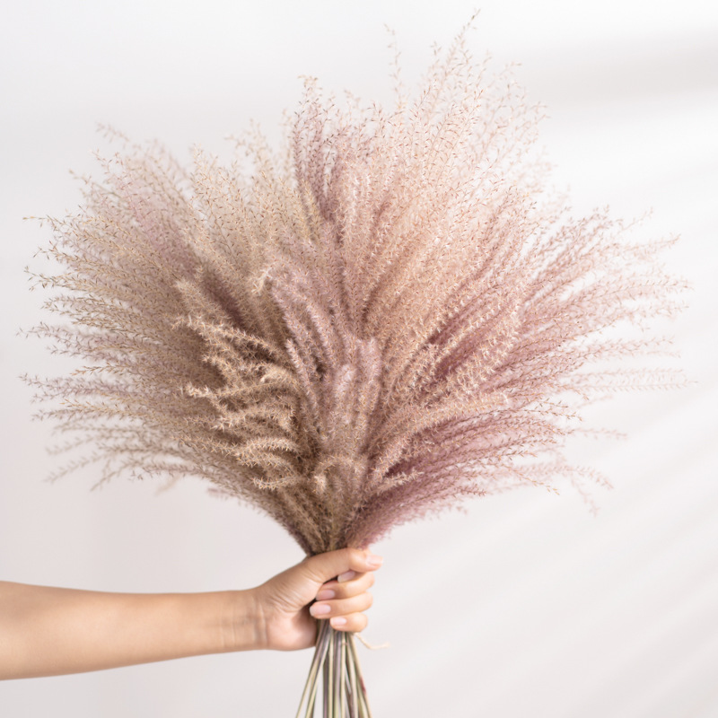 

50pc Natural Pampas Grass Dried Flowers Reed Plants for Home Decoration Real Flower Wedding Background Layout Photography Props, Beige