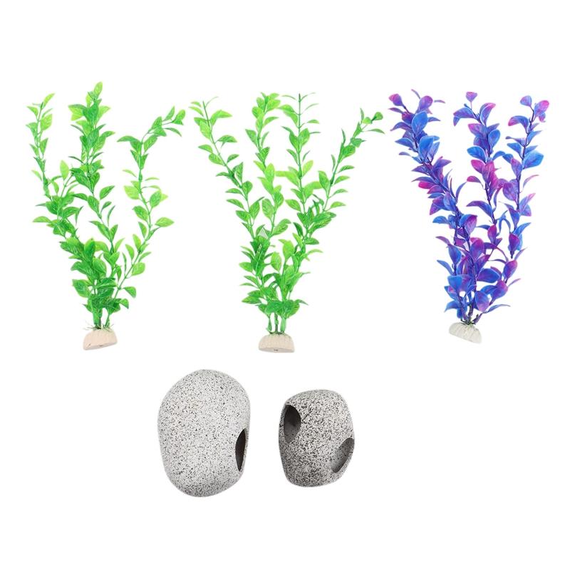 

Decorations With Caves And Seaweed To Simulate Natural Habitats Hide Feeding