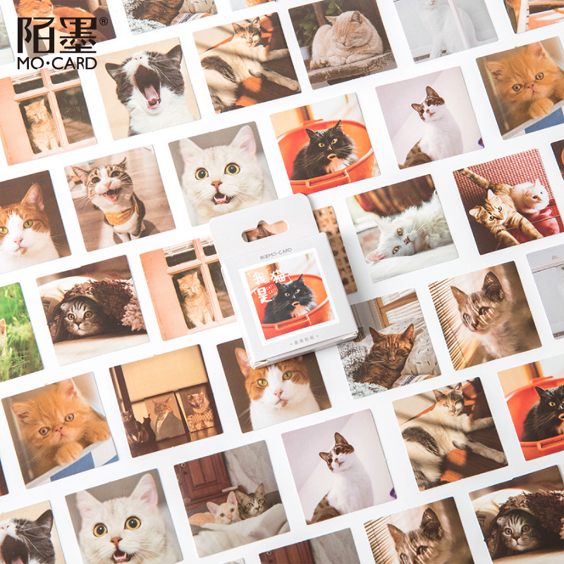 

3Pieces/Lot 45pcs/box Lovely Cat Pet Animal Decorative Adhesive Tape Masking Tape For Stickers Scrapbooking DIY Stationery Tape