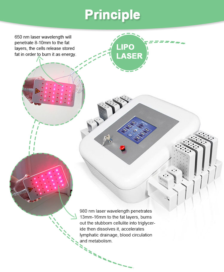 brother color laser printer 80k cavitation lipo laser 980 nm equipment Beauty machine-image-752159639