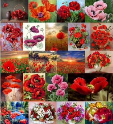 

100pcs seeds rare poppy papaver Beautiful Blue bonsai plant Perennial Garden Bonsai Balcony Flower Pot The Germination Rate 95% Purify The Air Absorb Harmful Gases