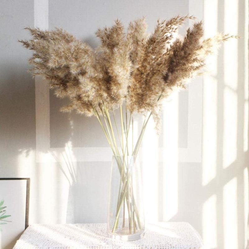 

Natural Dried Flowers Brown Bouquet Boho Decoration Home Bedroom Living Room 50cm Wedding Flower Bunch Natural Plants for Home, A 30pcs