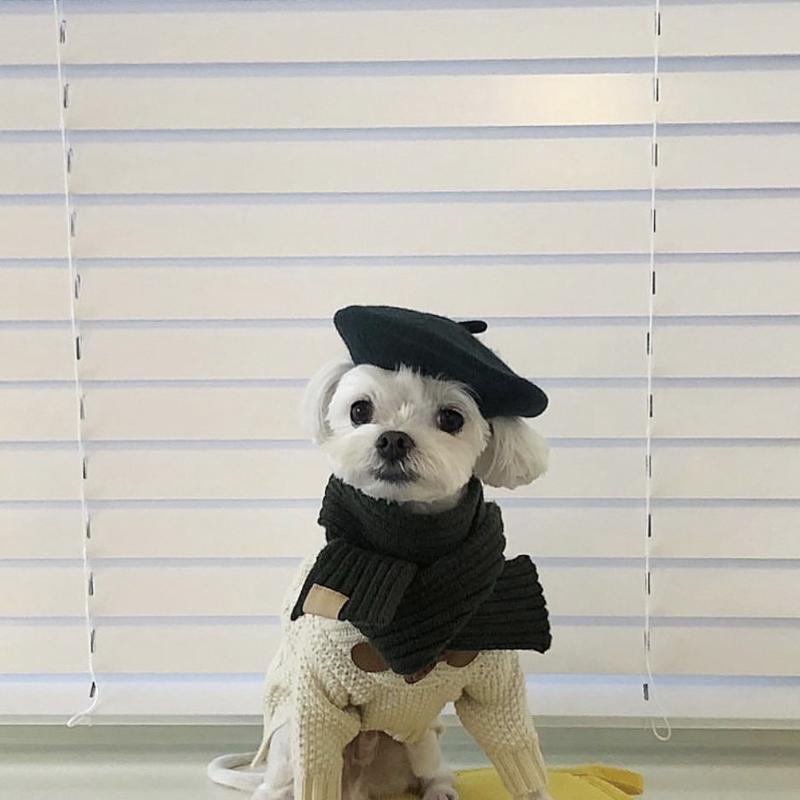 

Dog Apparel Ins Costume Cat Hat Pet Products Cap Wool Berets Mini Decorative Po Headwear Memorial Luxury Designer, White