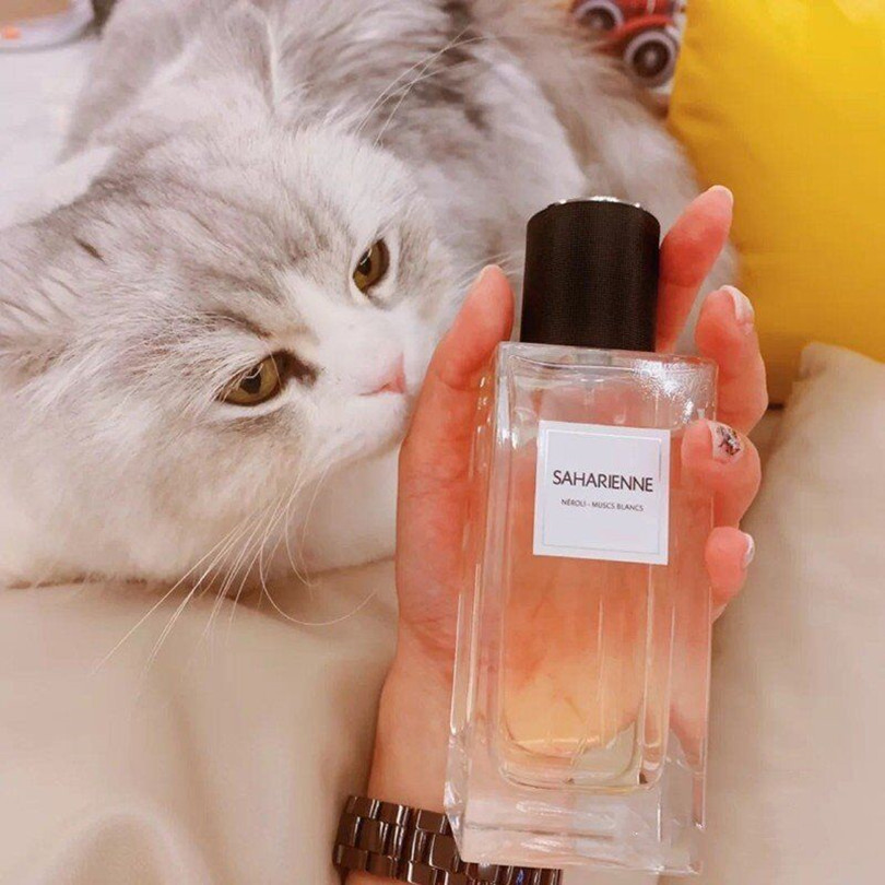 Neutral Perfume All kinds of Styles 75ml SAHARIENNE GRAIN DE POUDER Perfumes High Quality Good Packing Long Lasting-image-707104706