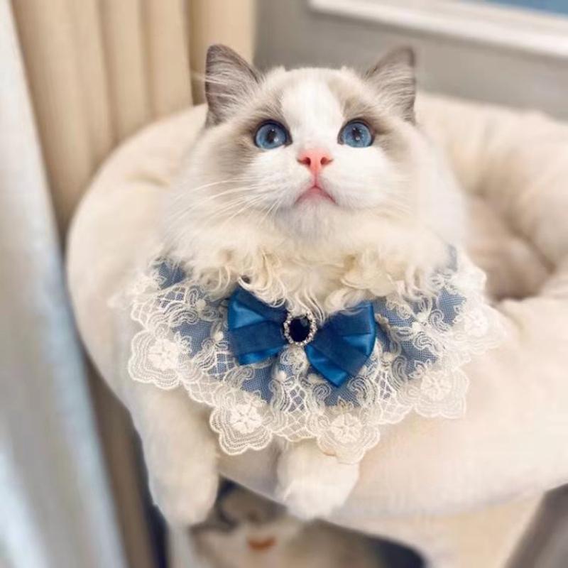 

Cat Costumes Pet Supplies And Dog Saliva Towels Scarves Bibs Bow Tie Accessories Ties Bandana