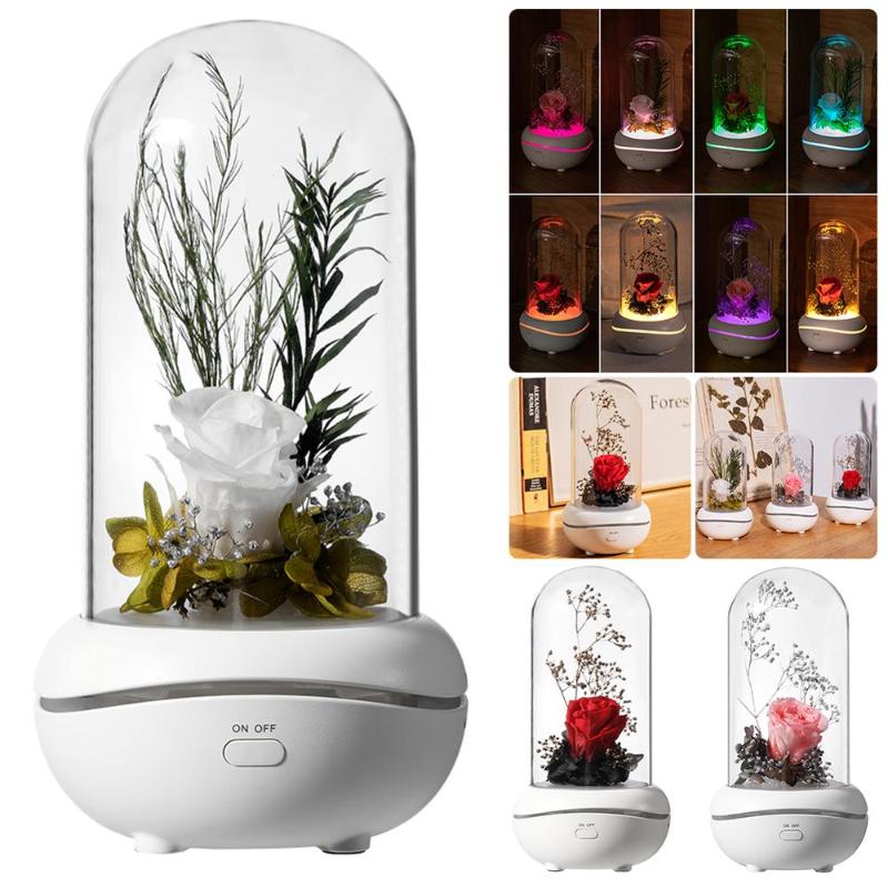 

Night Lights Creative-Preserved Fresh Flower Fragrance Lamp Colorful Ambience Light USB Aroma Diffuser Household Gift Birthday