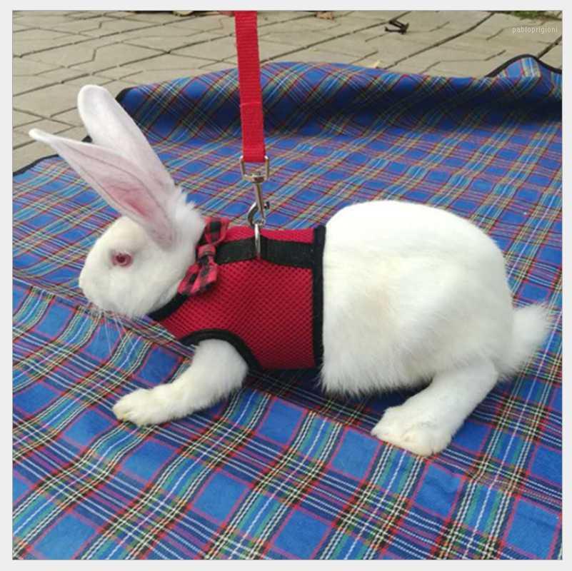 

Berets Pet Traction Rope Chinchilla Chest Strap Special Small Clothes, Black