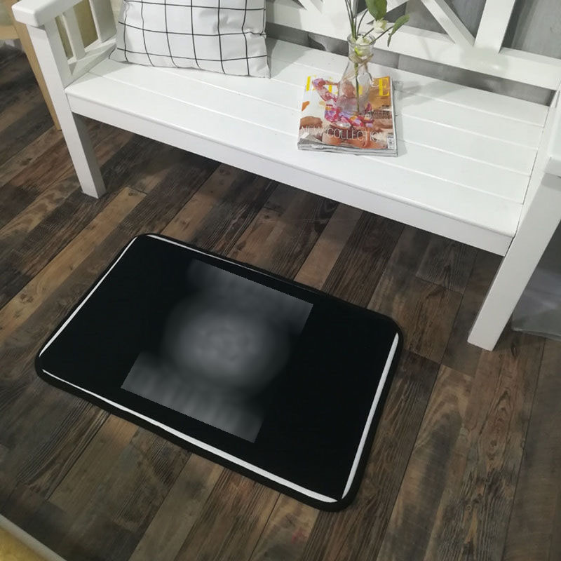 

New Fashion Carpet Luxurious printing Non-slip blanket bedroom kitchen Absorb water Doormat new style designers carpet wholesale