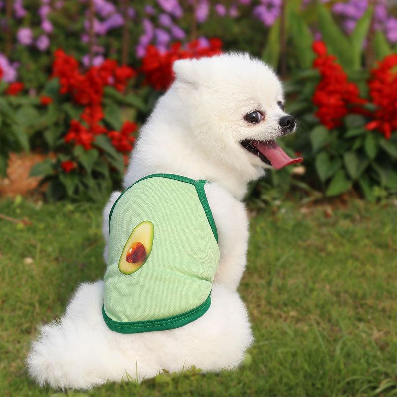 

Cat Costumes 1pc High Quality Breathable Pet Dog Vest Cute Avocado Mesh Small Dogs Summer Teddy Schnauzer Bullfight Clothes