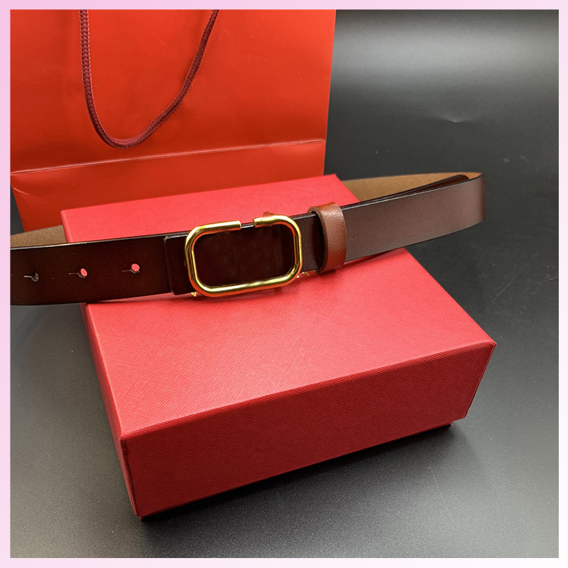 

With Box Belts Fashion Luxury Designer Belt Womens Wide Waistband Corset Belt Golden Needle Buckle Casual Mens Designers Belts P216232FL