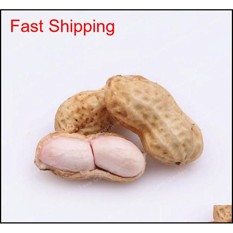 

10 Pcs Arachis Hypogaea Seeds Red Black Organic Rare Heirloom Peanut Plant Seeds Organic Vegetabl qylPDY dh_seller2010