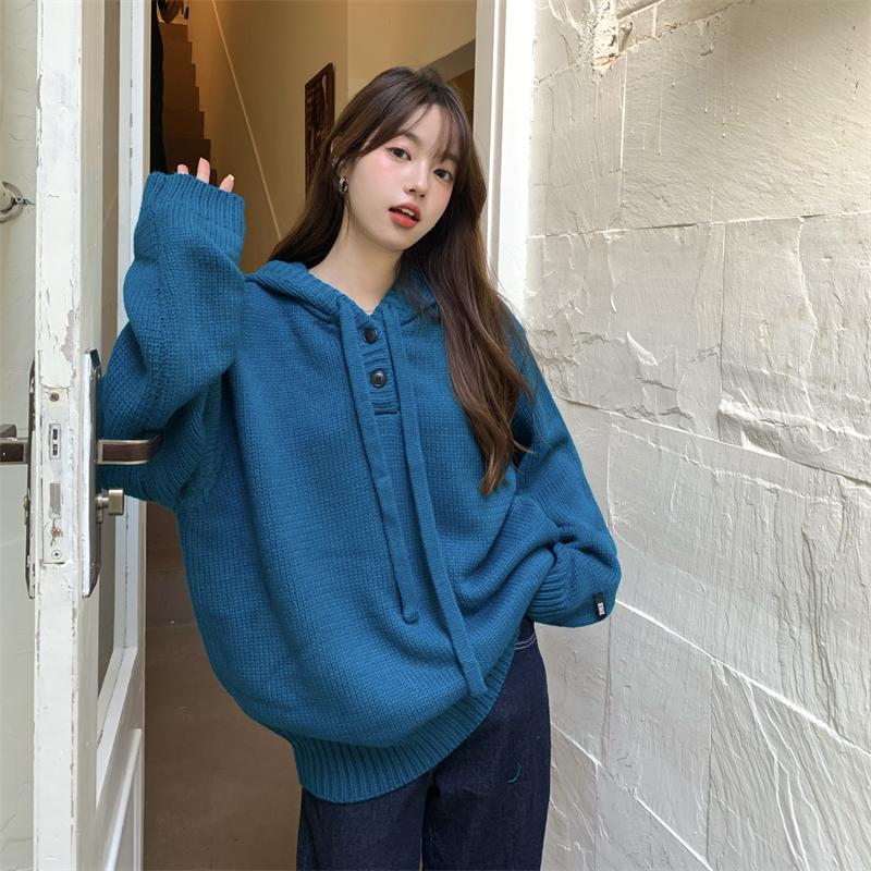 

Women's Sweaters Hooded Sweater Spring And Autumn Loose Coat Design Sense Niche Lazy Style Korean Chic Top Women, Blue