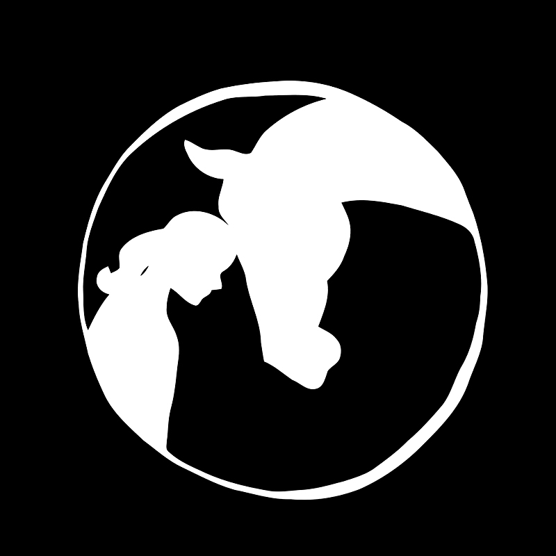 

17*16.6cm Girl Horse Vinyl Decal Sticker Funny Car Window Bumper Novelty JDM Drift Vinyl Decal Sticker, Color