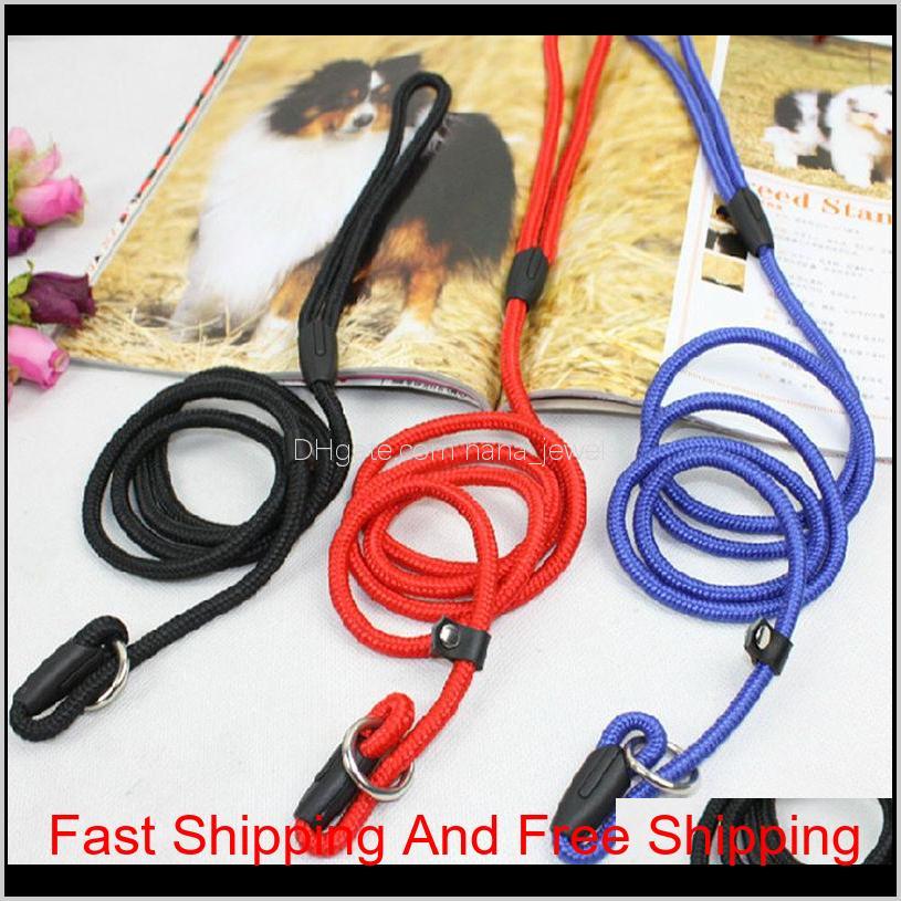 

Nylon Dog Training Leash Dogs P Chain Slip Collar Walking Leads Rope S M L For Small Medium Breeds Chihuahua Teddy Hujgc Cem8X