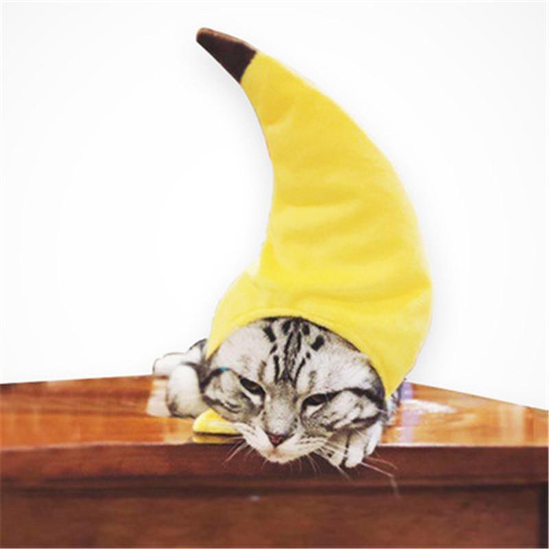 

Cat Costumes Cute Headgear Festival Play Pet Hat Headdress Banana Performance Props Funny Headwear Po