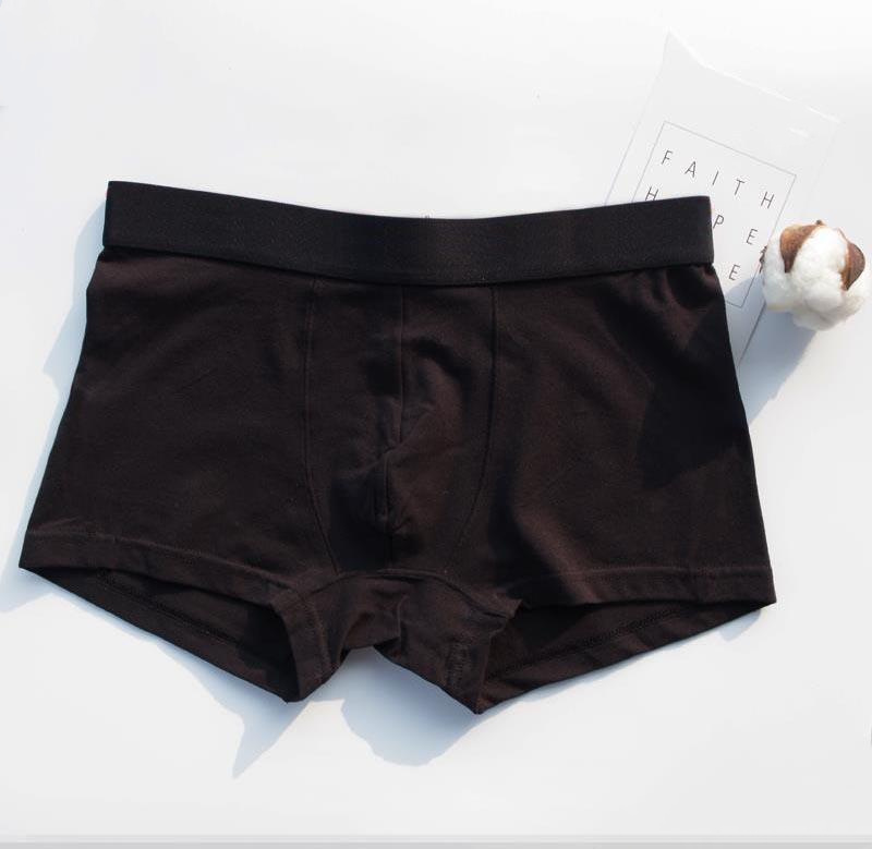 Luxury V Designer Sexy Mens Boxer Men Underpants Cueca Ropa Interior Hombre Vintage Shorts
