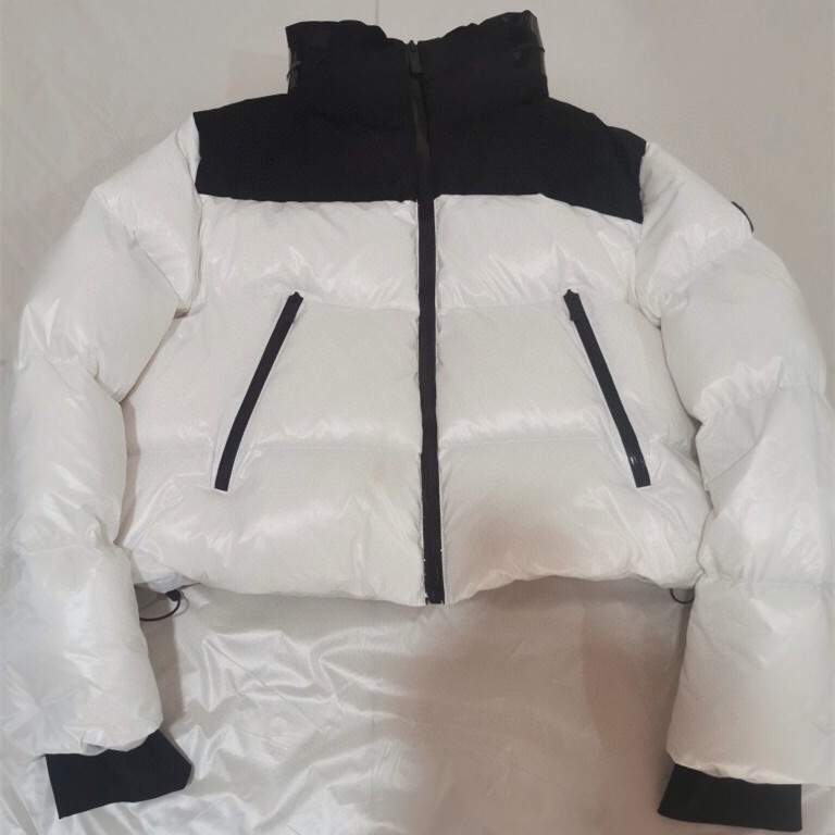 

Women Nylon Short Down Jackets Designer Lady Appliques Stand collar Hood Warm Outwear Fashion Girl Side Pocket Zipper Winter Coat, Jacket dustbag