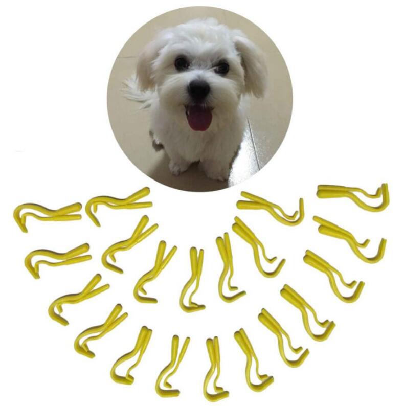 

Tick Remover Hook Tool Pack x 2Sizes Human Dog Pet Horse Catju0284