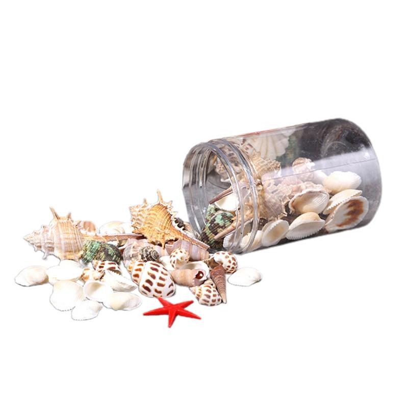 

Decorations Aquarium Ornaments Starfish Sea Snail Coral Seashells Home Decor Supplies Fish Tank Decoration Vase Fillers 0.2"-2.4" M6CE