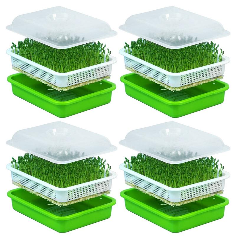 

Planters & Pots 4X Seed Sprouter Tray With Lid BPA Free Bean Sprout Grower Sprouting Seeds Tray, Dirt Way And Big Capacity