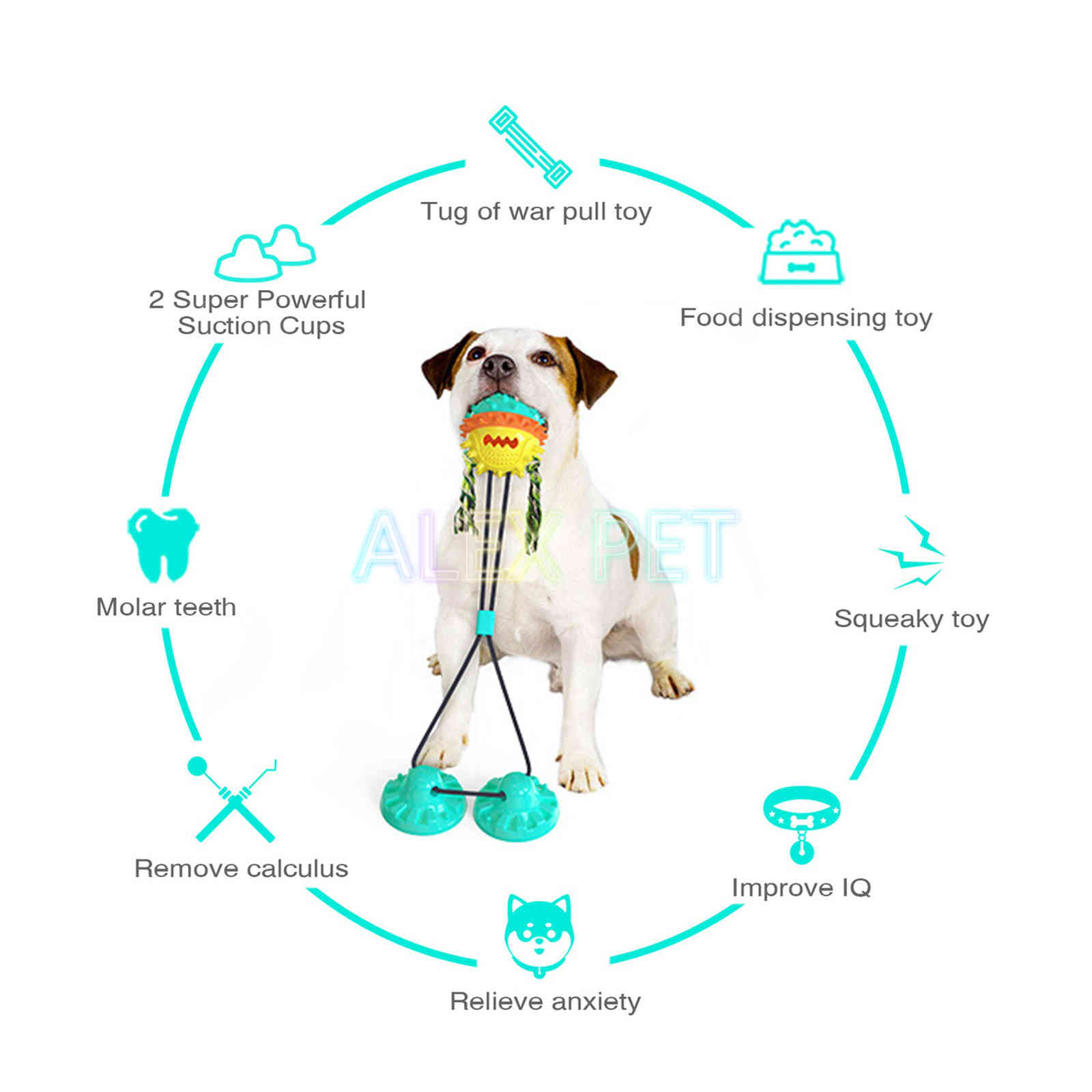 

Pet molar ball designer dog toy with durable windy string to pull/chew/teeth that clean the self that throws tog to dogs bowl