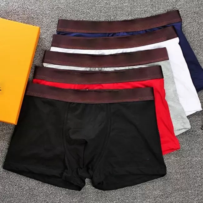 swimwears Ethika briefs men's unisex boxer shorts Breif pattern sports hip-hop rock consumer underwear skateboard street fashion stretch S-X-image-745539875
