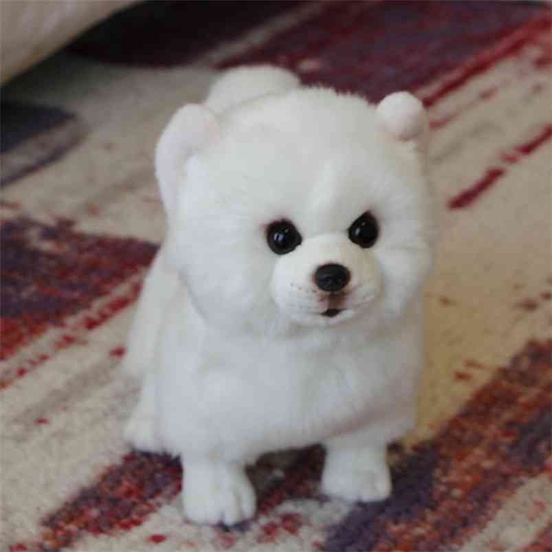 

Pomeranian Plush Toy Dog Doll Simulation Stuffed Animal Super Realistic For Pet Kawaii Birthday Gifts for Children 210728, White