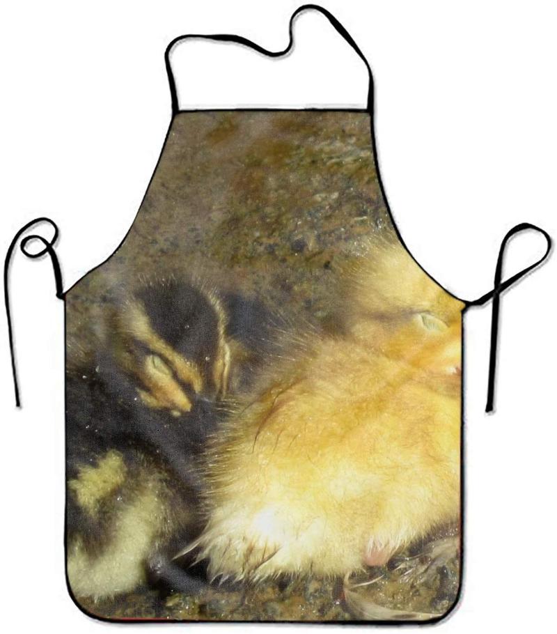 

Kitchen Aprons, Duckling Cuddle Print Apron Cooking For Man And Woman Pinafore Aprons
