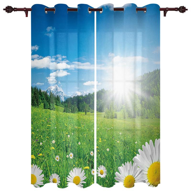 

Luxury Modern Window Curtains Daisy Flower Lawn Bedroom Living Room Dining Decoration Translucent Beautiful Curtain & Drapes
