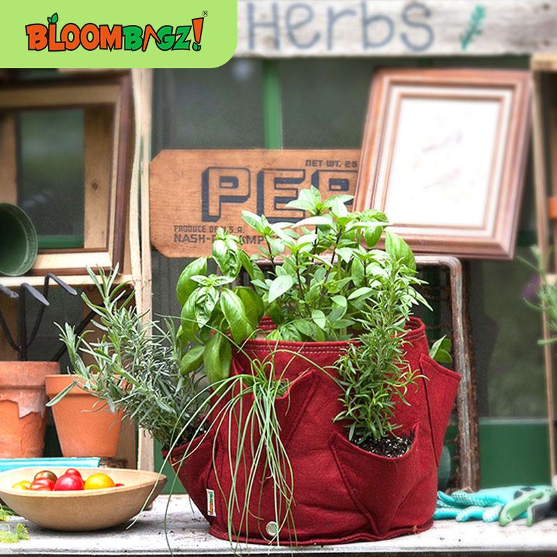

2/5 Gallon Vegetable Planting Pot Multi-Pocket Growing Artifact Environmental Protection Organic Bags Planters & Pots