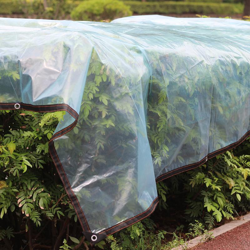 

Shade UV Plant Care Cover Transparent Protective Film Bonsai Succulents Flower Keep Warm Rainproof Shelter Rain Sunblock With 10 Balls, 10pcs balls