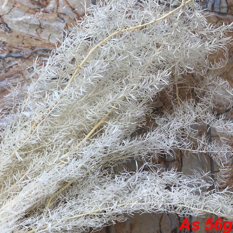 

Decorative Flowers & Wreaths 50-60g/Real Dried Natural Fresh Forever Asparagus Bunch,Dry Preserved Plants Eternal Grass Branches For Home De, 02