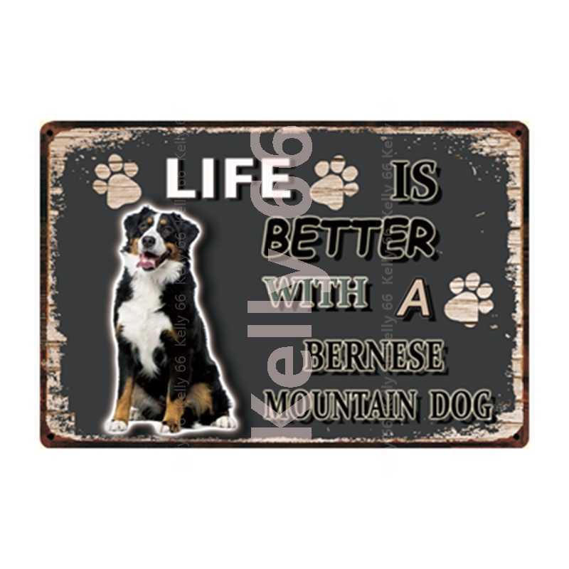 

Warining Dogs Life Is Better With A Miniature Poodle Metal Sign Home Decor Bar Wall Art Painting 20*30 CM Size DG-51