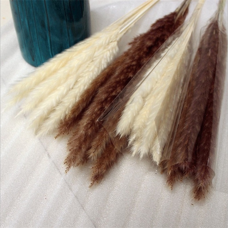 

Natural Real Pampas Grass Table Dried Flowers Decor Boho Artificial Plants Mariage Home Decoration Wedding Christmas Accessories 20220113 Q2, As show