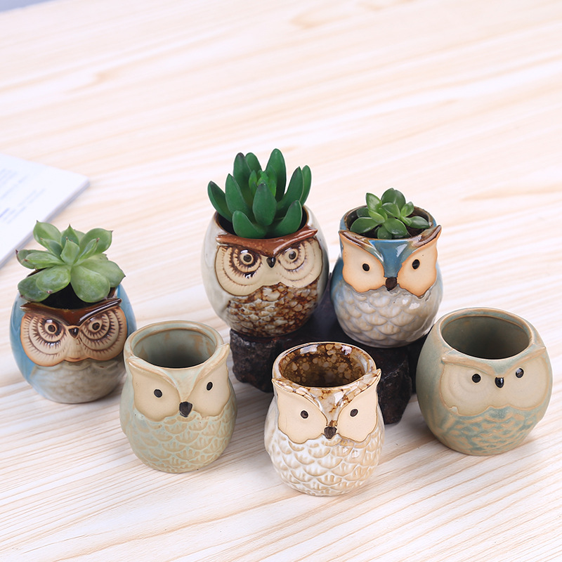 

New Cartoon Owl-shaped Flower Pot for Succulents Fleshy Plants Flowerpot Ceramic Small Mini Home/Garden/Office Decoration Free D