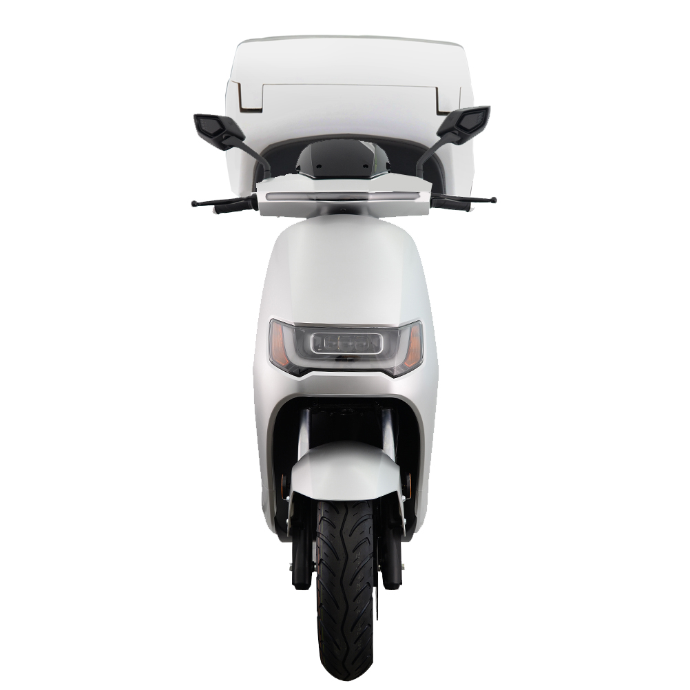 

Electric motorcycle-ROBO S DELIVERY