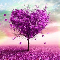 

30pcs Maple Flower Seeds Bonsai The Germination Rate 95% Radiation Protection Rare Plants for The Garden Natural Growth Variety of Colors All for a summer residence