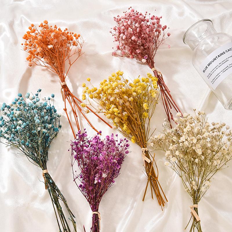 

Decorative Flowers & Wreaths Craft Natural Material Home Decoration Wedding Decor Real Flower Plant Stems Dried Bouquets Mini Babysbreath