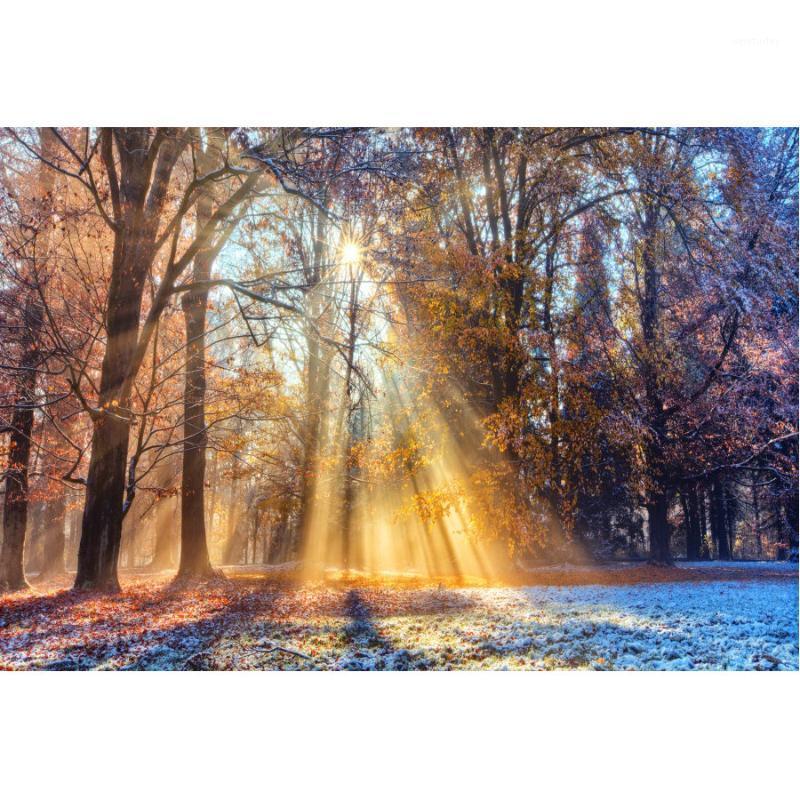 

Party Decoration Natural Scenery Backdrop Autumn Sun Shines Into The Forest Backgrounds Decor Born Bride Po Booth Studio Prop