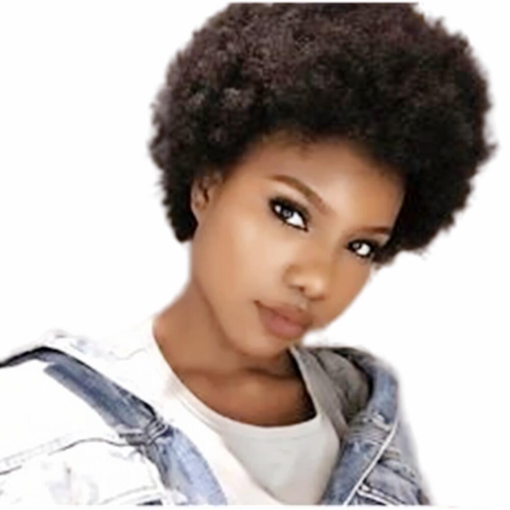 

100% Short Human Hair Wigs For Black Women Peruvian Afro Kinky Curly Full None Lace Wigs HumanHair wig