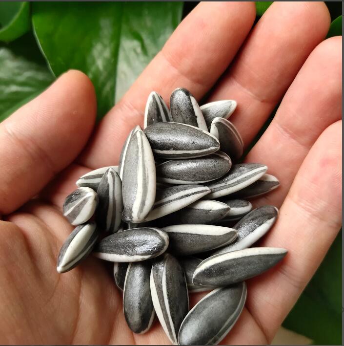 

Lot of 10 pieces Handmade Ai Weiwei Porcelain Sunflower Seeds LONDON TATE MODERN 2010 Gift Tea ceremony kuihuazi pottery gray clay wired