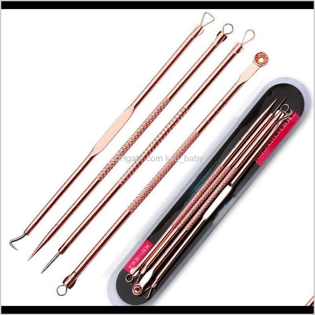 

4Pcs Blackhead Removal Needles Black Dots Cleaner Stainless Steel Spot Extractor Acne Treatment Needle Set Face Clean Care Tool 002 P6 Gihua