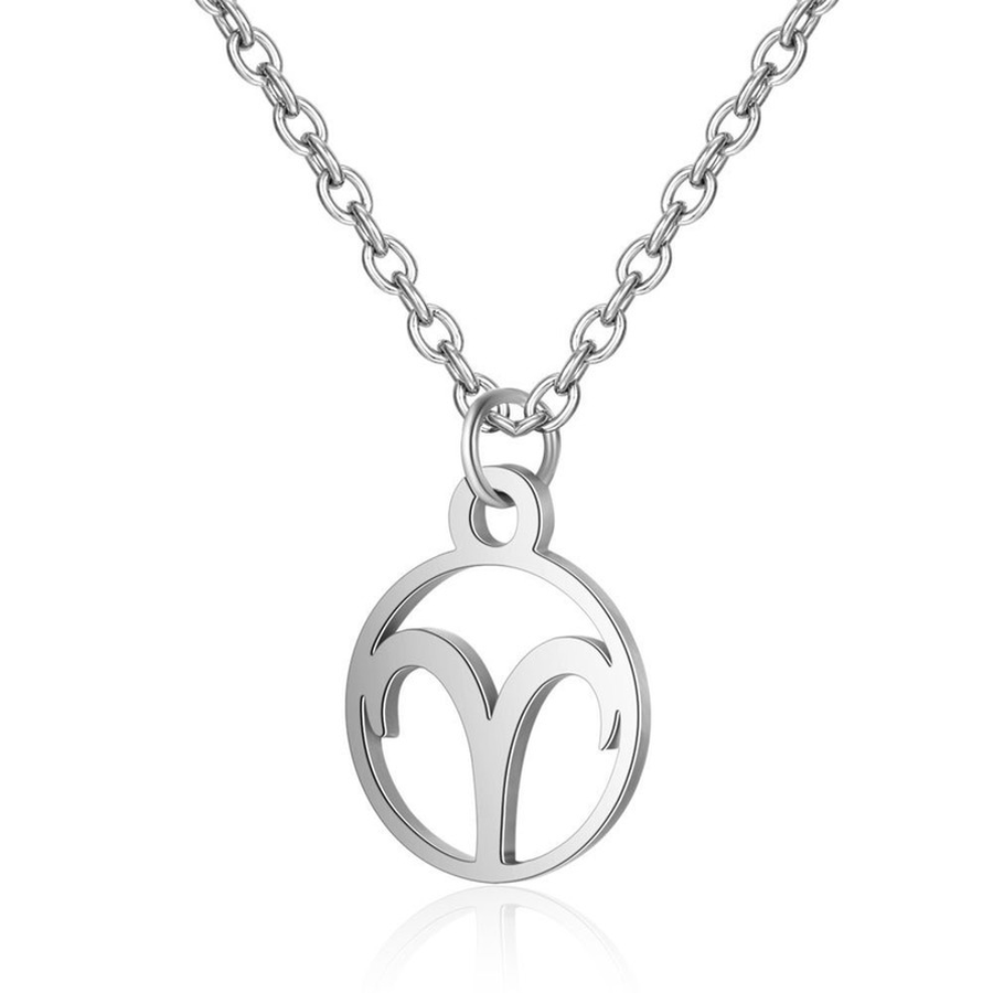 

Silver Gold Coin Horoscope Sign Necklace Stainless Steel Constell Pendant Necklaces chains for Women Men Fashion Jewelry Will and Sandy