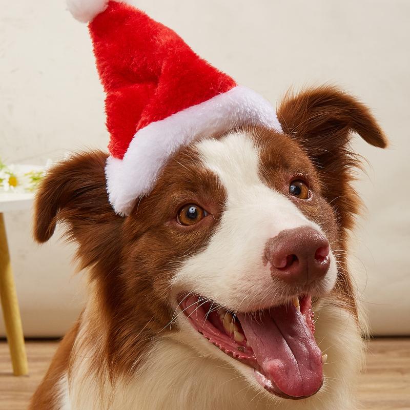 

Christmas Decorations Year Santa Claus Small Puppy Cat Dog Hat Plush Thicken Cotton Pet Merry Festival Supplies Decoration