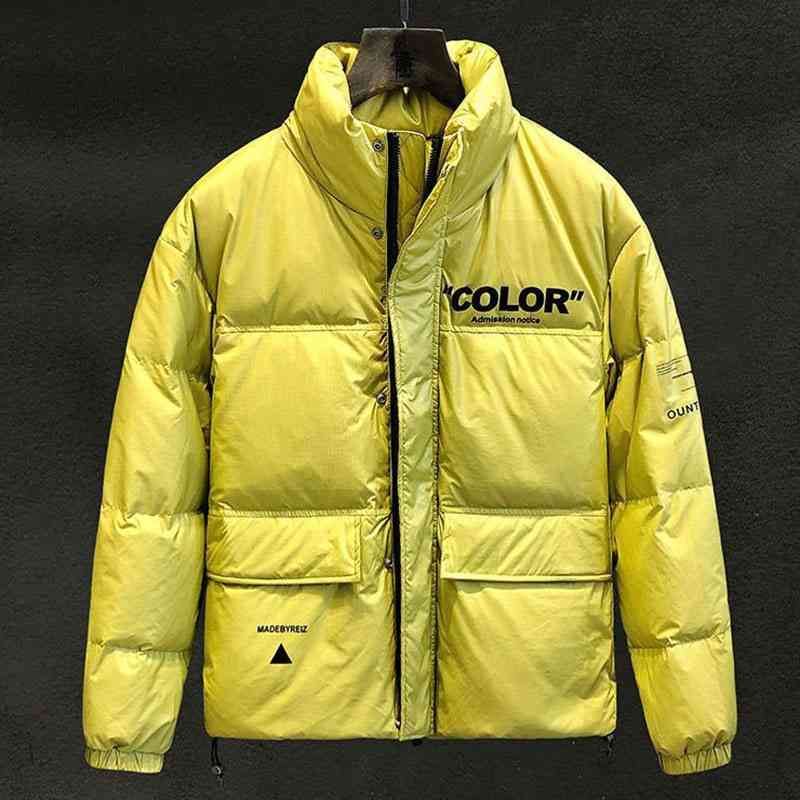 

New stand collar thickened short loose 80 white duck men's down jacket fashion casual coat