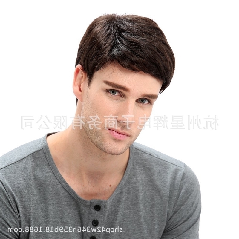 

handsome 2021 face male fluffy micro curl ultra short straight hair wig set, Natural black transmission network