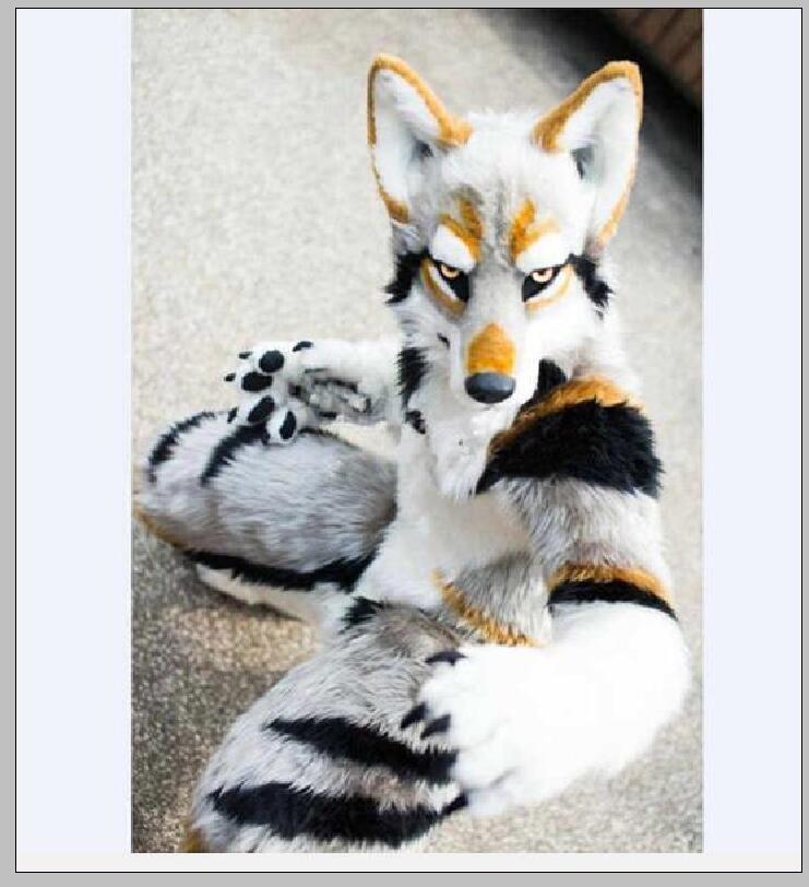 

2019 Husky Dog Fox Mascot Costume Long Fur Furry Costume Artificial fur Wolf Halloween Suit, As pic