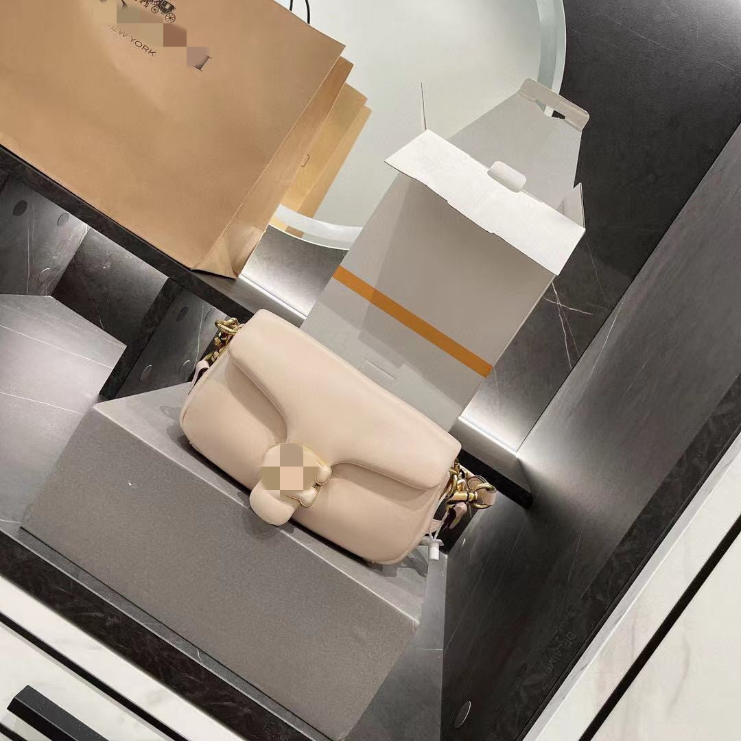 

Designer Bags Luxury 2021 Tabby Pillow New Ribbon Cloud Single Shoulder Underarm Messenger Women, White